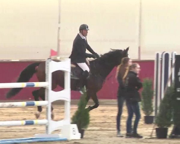 Reitturnier Trier - Hofgut Monaise 2015