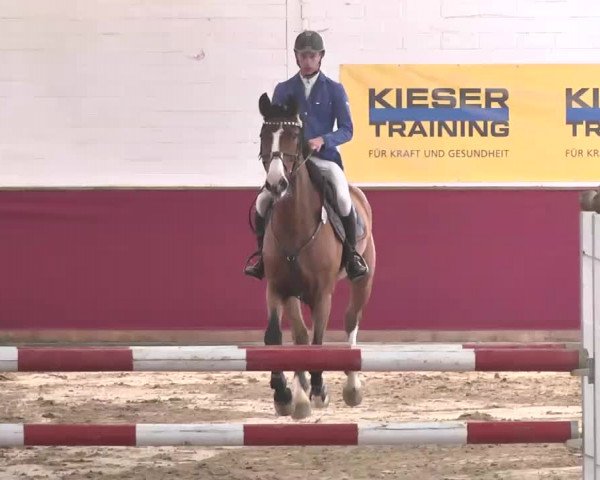 Reitturnier Trier - Hofgut Monaise 2015