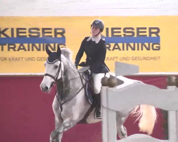 Reitturnier Trier - Hofgut Monaise 2015
