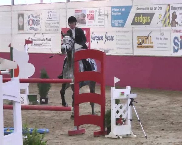 Reitturnier Trier - Hofgut Monaise 2015