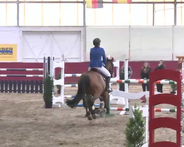 Reitturnier Trier - Hofgut Monaise 2015