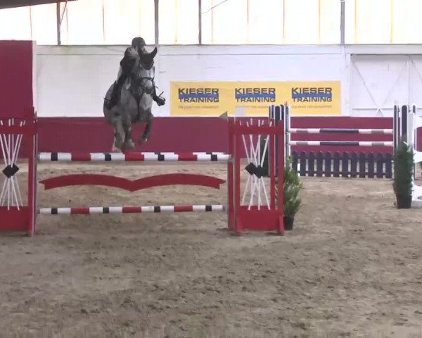Reitturnier Trier - Hofgut Monaise 2015