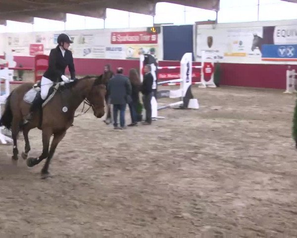 Reitturnier Trier - Hofgut Monaise 2015