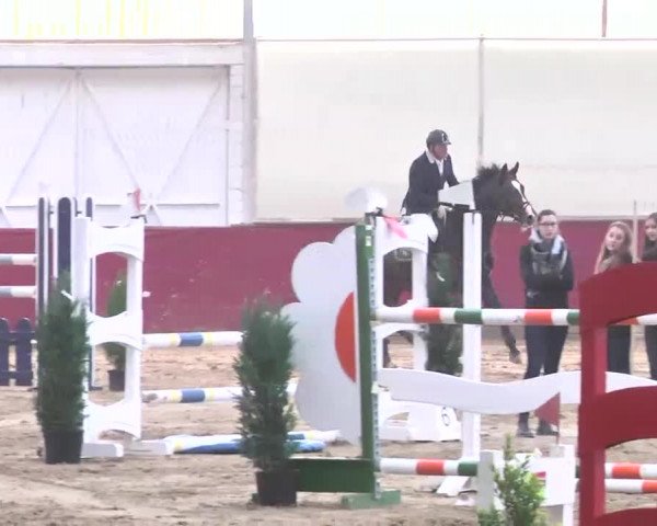 Reitturnier Trier - Hofgut Monaise 2015