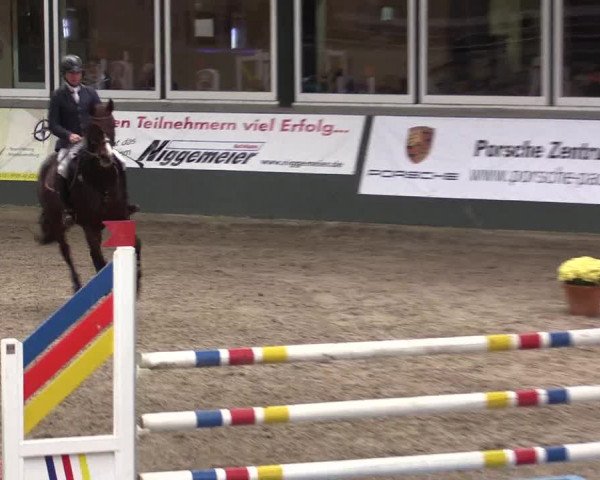 Reitturnier Salzkotten 2015