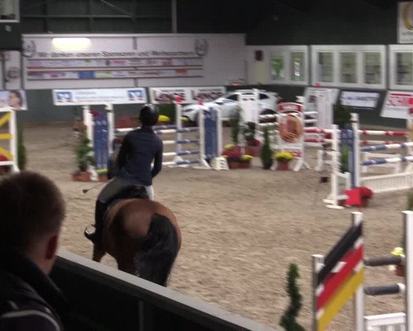 Reitturnier Salzkotten 2015