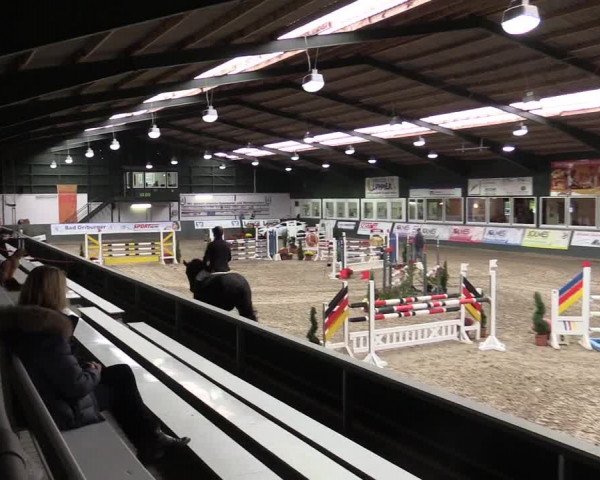 Reitturnier Salzkotten 2015