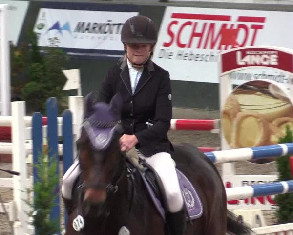 Reitturnier Salzkotten 2015
