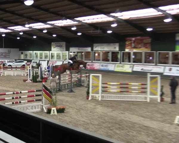 Reitturnier Salzkotten 2015