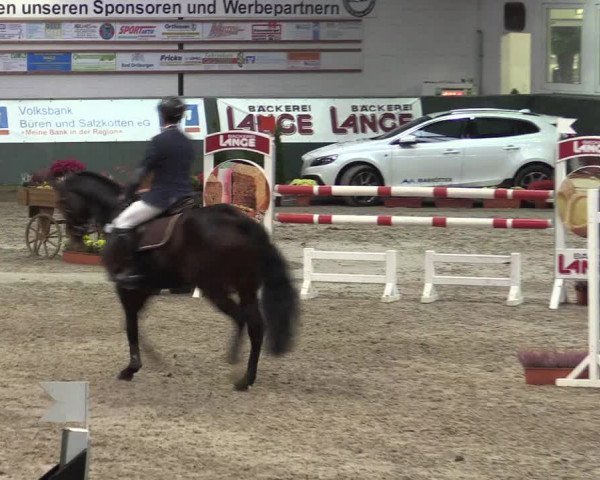 Reitturnier Salzkotten 2015