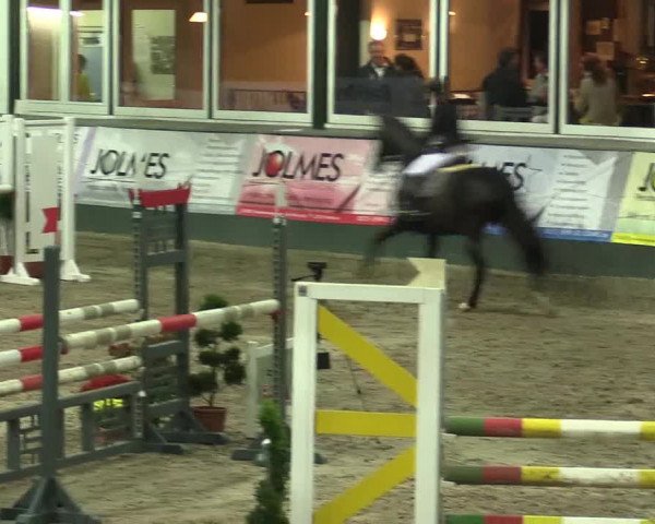 Reitturnier Salzkotten 2015