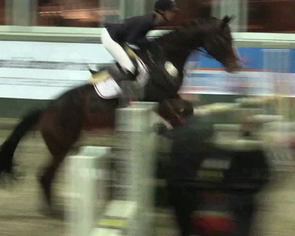 Reitturnier Salzkotten 2015
