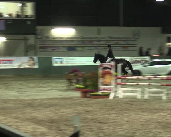 Reitturnier Salzkotten 2015