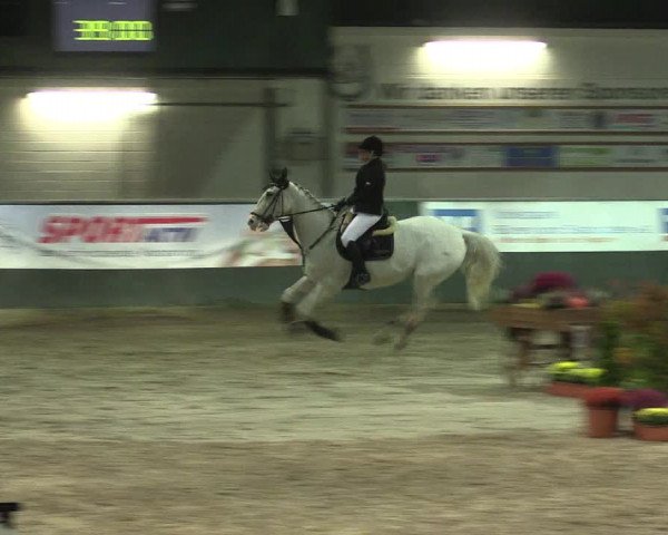 Reitturnier Salzkotten 2015