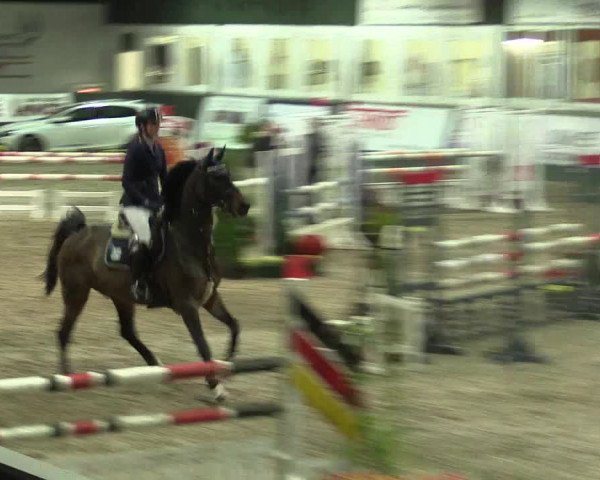 Reitturnier Salzkotten 2015