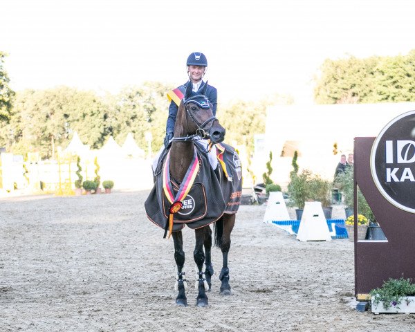 jumper Melaro OLD (Oldenburg show jumper, 2013, from Messenger)