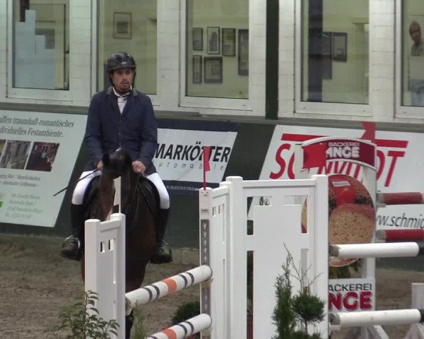 Reitturnier Salzkotten 2015