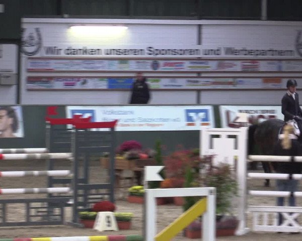 Reitturnier Salzkotten 2015