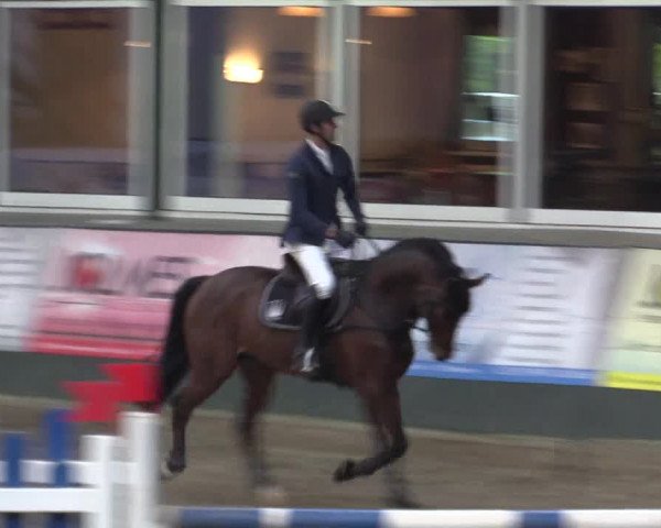 Reitturnier Salzkotten 2015