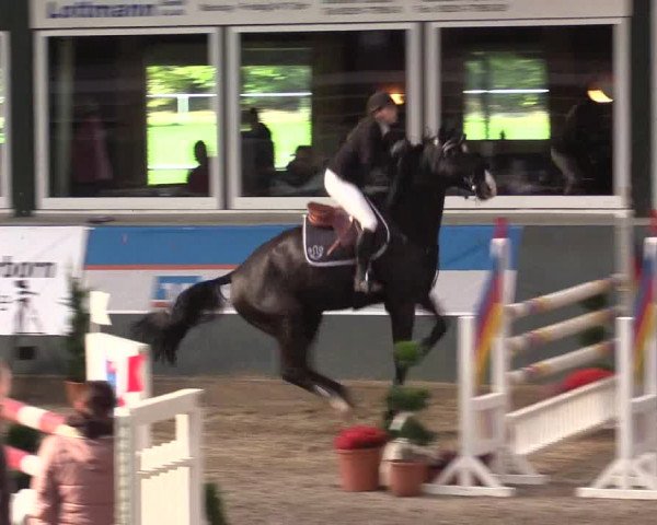 Reitturnier Salzkotten 2015