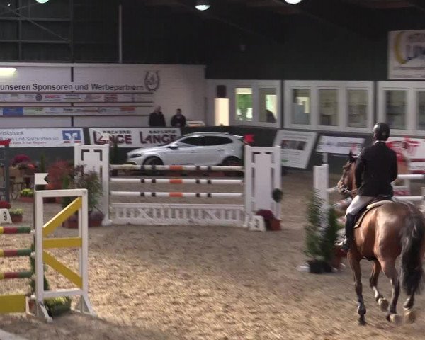 Reitturnier Salzkotten 2015