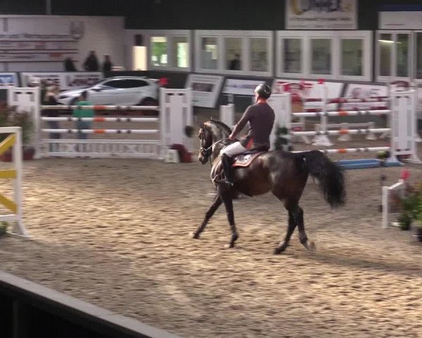 Reitturnier Salzkotten 2015