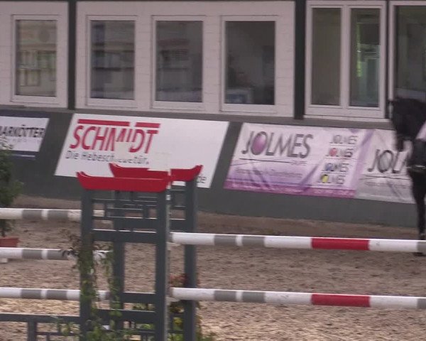 Reitturnier Salzkotten 2015