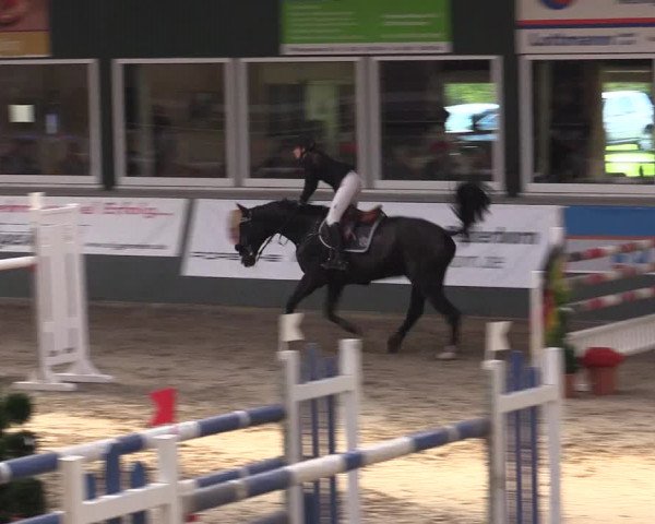 Reitturnier Salzkotten 2015