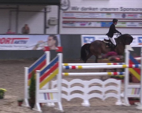 Reitturnier Salzkotten 2015