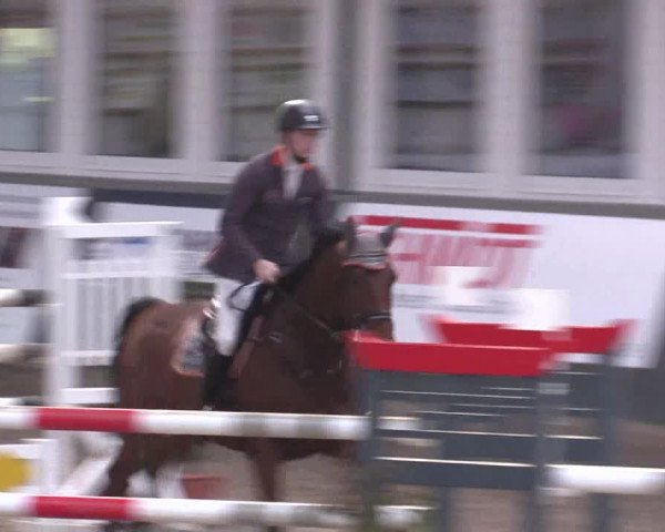 Reitturnier Salzkotten 2015