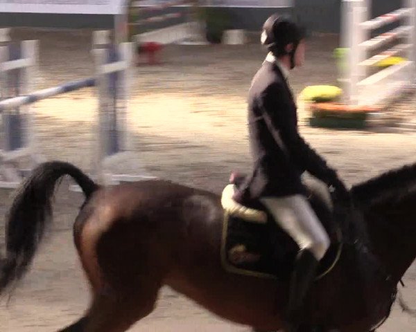 Reitturnier Salzkotten 2015