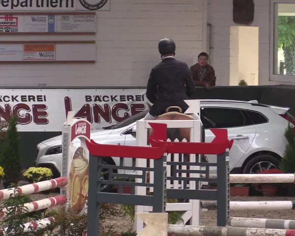 Reitturnier Salzkotten 2015
