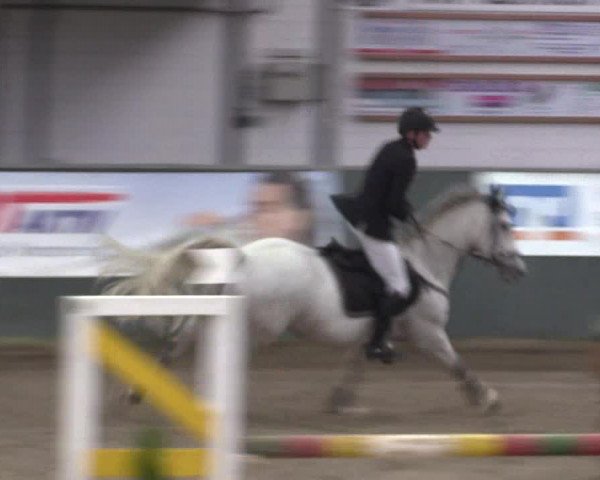 Reitturnier Salzkotten 2015