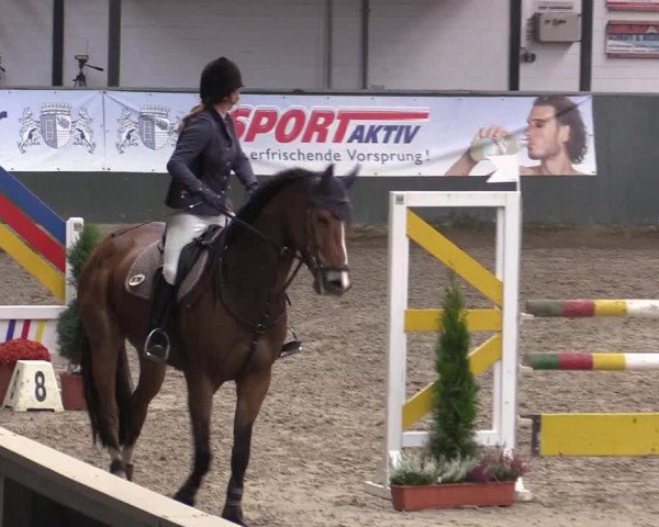 Reitturnier Salzkotten 2015
