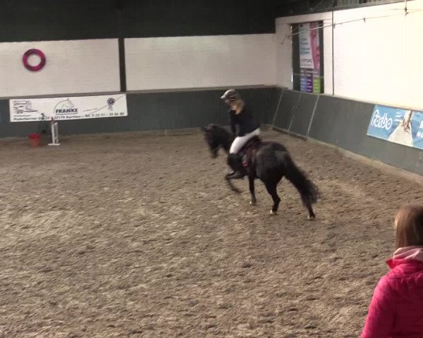 Reitturnier Salzkotten 2015