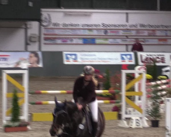Reitturnier Salzkotten 2015