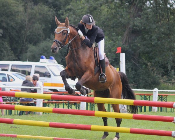Springpferd Anea 3 (Württemberger, 2008, von Assistent)
