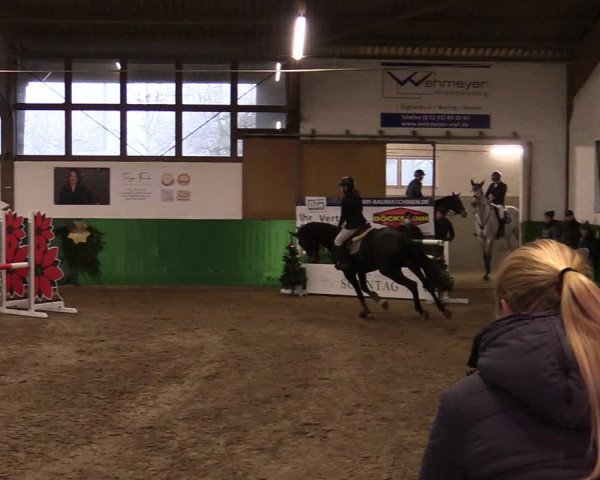 Springturnier Bielefeld-Jöllenbeck 2021