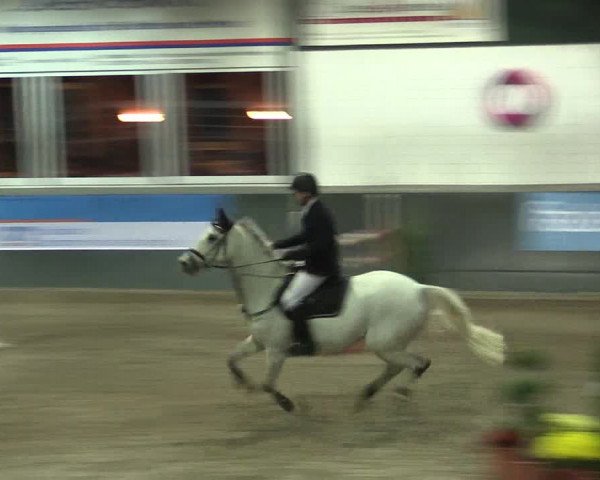 Reitturnier Salzkotten 2015