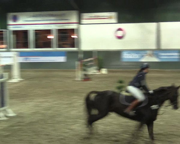 Reitturnier Salzkotten 2015
