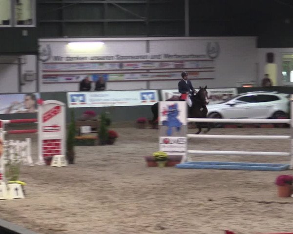 Reitturnier Salzkotten 2015