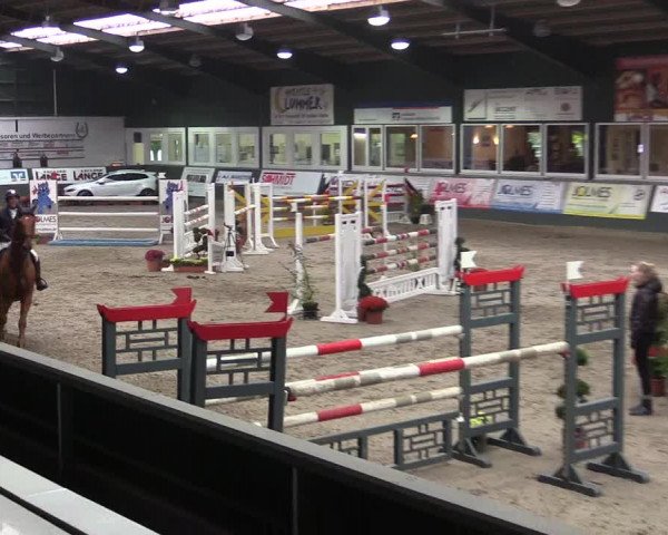 Reitturnier Salzkotten 2015