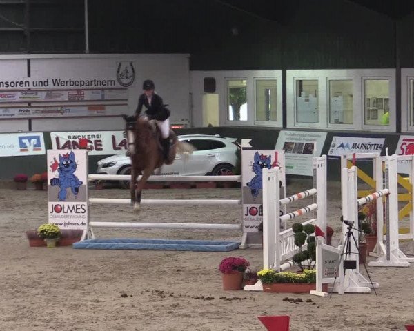 Reitturnier Salzkotten 2015