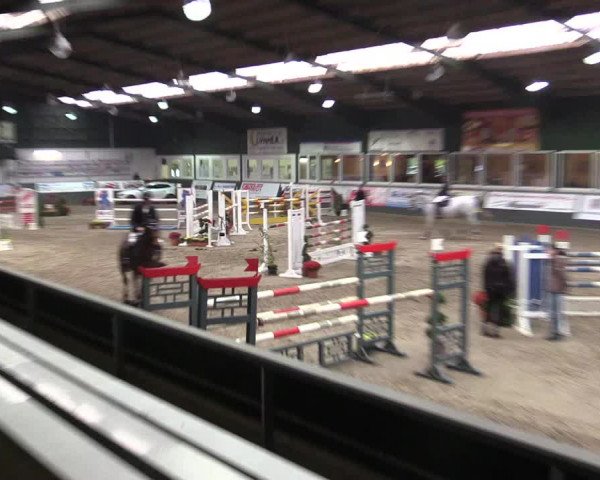 Reitturnier Salzkotten 2015