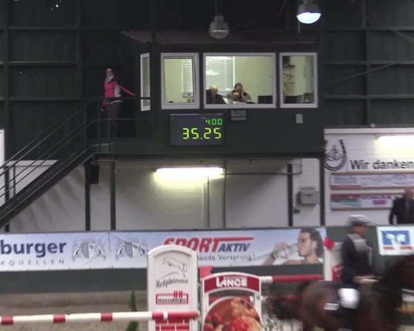 Reitturnier Salzkotten 2015