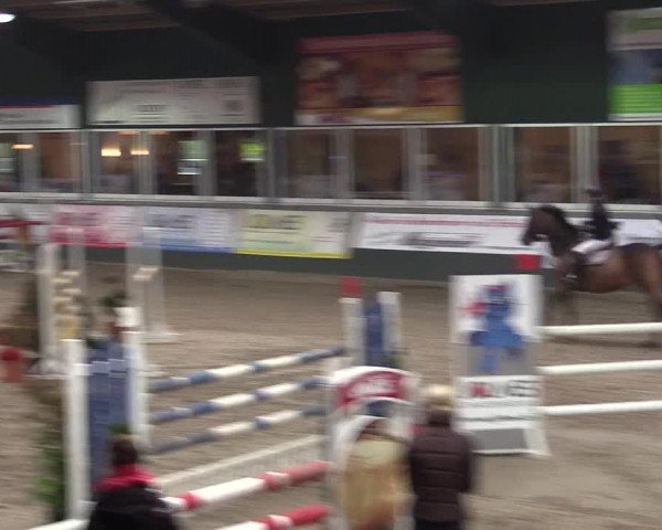 Reitturnier Salzkotten 2015