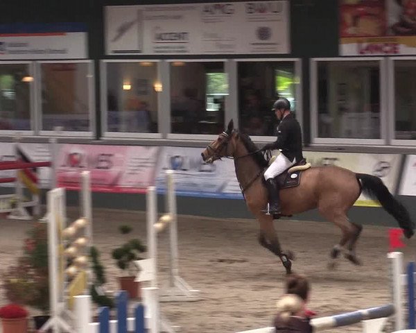 Reitturnier Salzkotten 2015