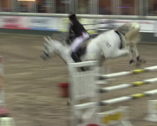 Reitturnier Salzkotten 2015