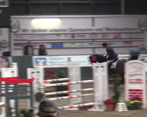 Reitturnier Salzkotten 2015