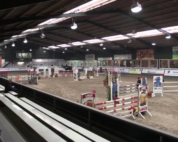 Reitturnier Salzkotten 2015